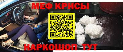 спайс Кингисепп