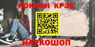 спайс Кингисепп