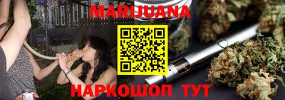 спайс Кингисепп