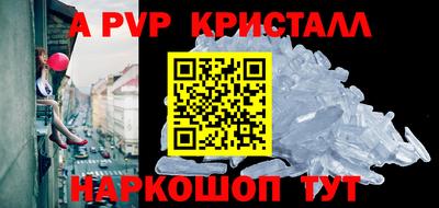 спайс Кингисепп