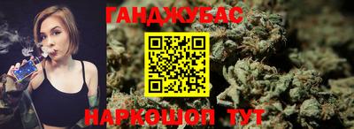 спайс Кингисепп