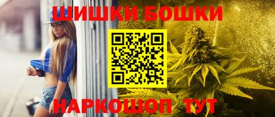 спайс Кингисепп
