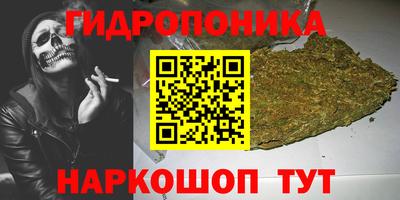 spice Кимры