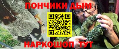 спайс Кингисепп