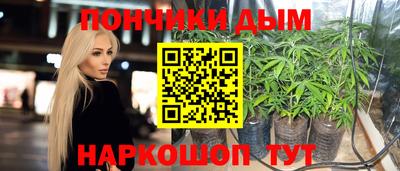 spice Кимры