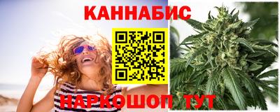 спайс Кингисепп
