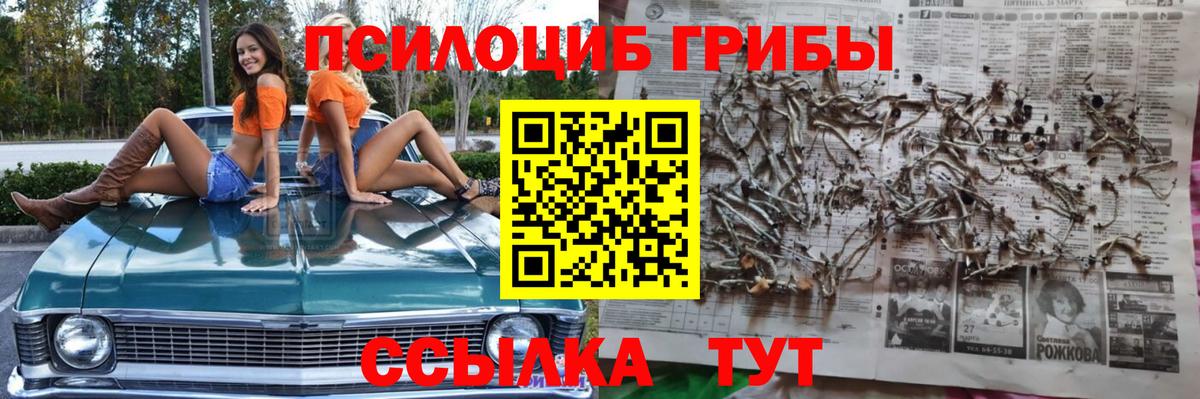 Псилоцибиновые грибы Magic Shrooms Карачаевск