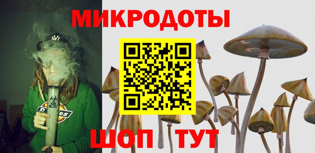 Псилоцибиновые грибы GOLDEN TEACHER  Вход с VPN  Карачаевск 
